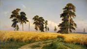 a rye field